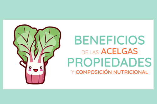 Acelgas 4 Beneficios Y Propiedades Nutricionales Tu Portal Eco