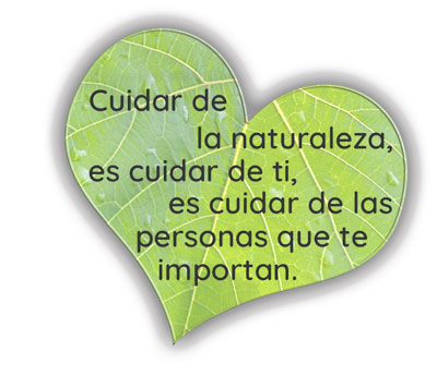 conectar-con-la-naturaleza-hoja-2