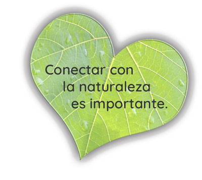 conectar-con-la-naturaleza-hoja