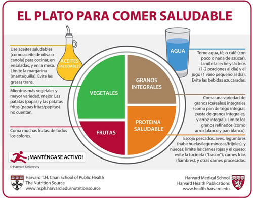 plato-para-comer-saludable-harvard