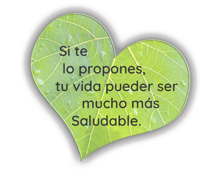 vida-saludable-hoja-2