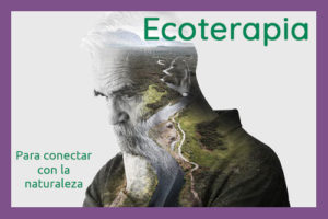 ecoterapia-imagen-destacada
