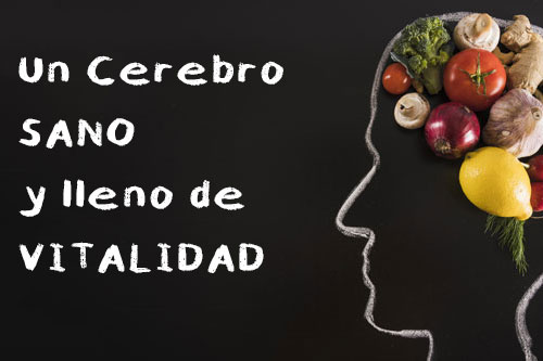 alimentos-para-un-cerebro-sano-cabecera-destacada