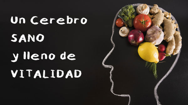 alimentos-para-mantener-un-cerebro-sano-cabecera