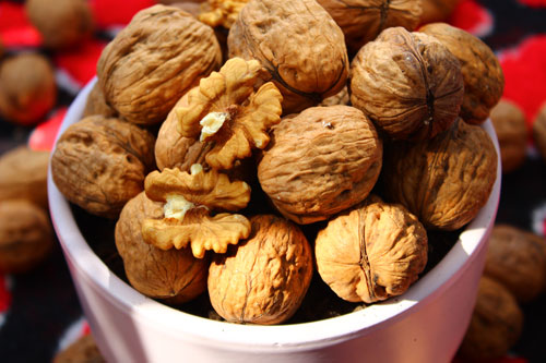 nueces-cerebro-sano