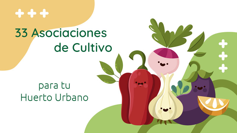 asociaciones-de-cultivo-hero