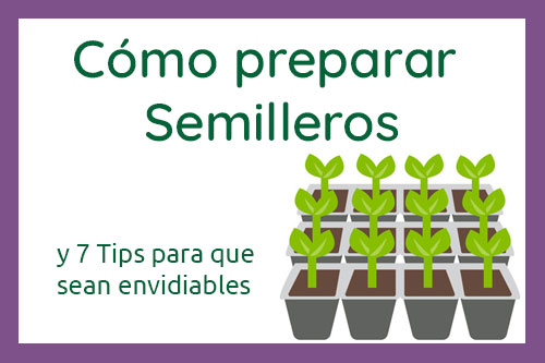 como-preparar-semilleros-destacada