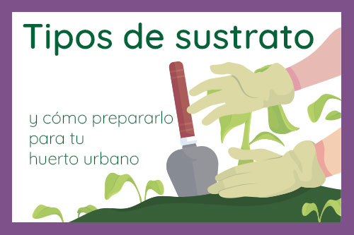 tipos-de-sustrato-destacada