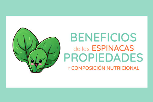 Espinacas 8 Beneficios Y Propiedades Nutricionales Tu Portal Eco