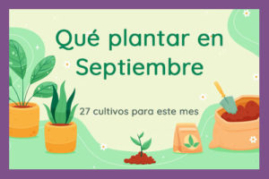 que-plantar-en-septiembre-destacada-2