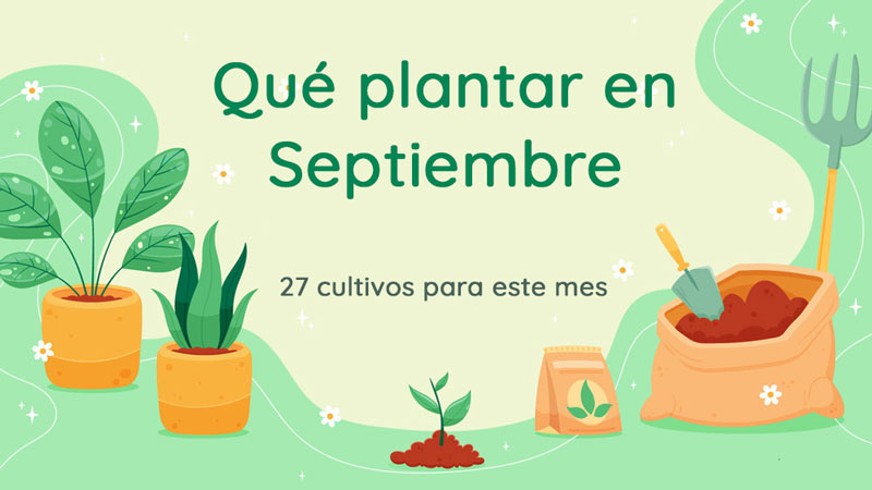 que-plantar-en-septiembre-hero-2