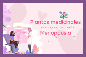 plantas-medicinales-menopausia-destacada-2