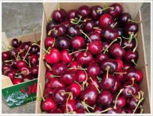 cerezas-ecologicas-en-caja-mas-de-roc