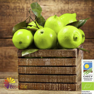 limon-verde-ecologico-eco-citric