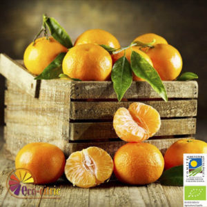 mandarinas-ecologicas-eco-citric