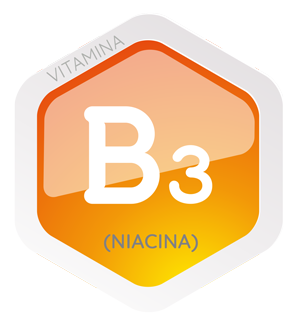 vitamina-B3