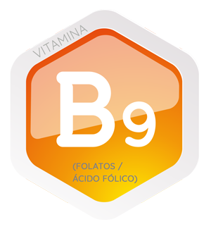 vitamina-B9