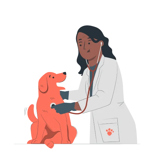 veterinario-ai