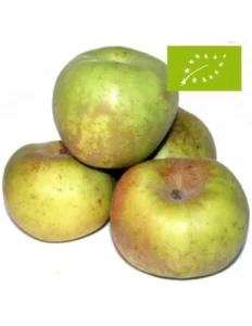 manzana-reineta-cesta-verde