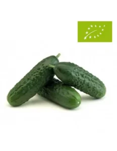 pepino-cesta-verde