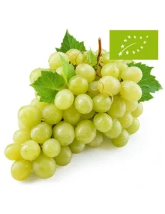 uvas-moscatel-cesta verde