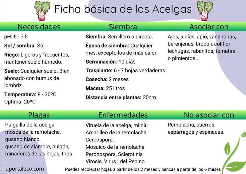 Ficha básica cultivo de las acelgas