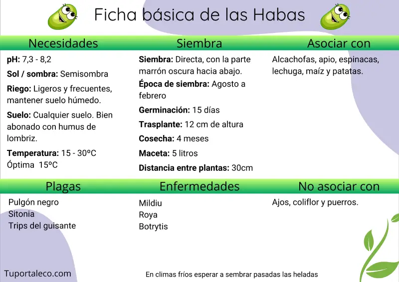 Ficha básica cultivo de las habas