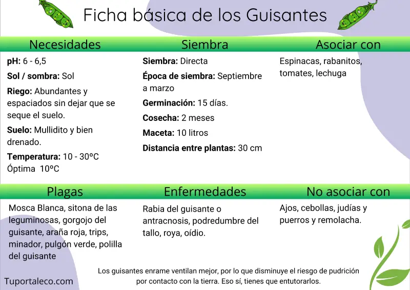 Ficha básica cultivo de los guisantes