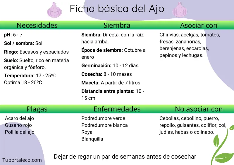 Ficha básica cultivo del ajo