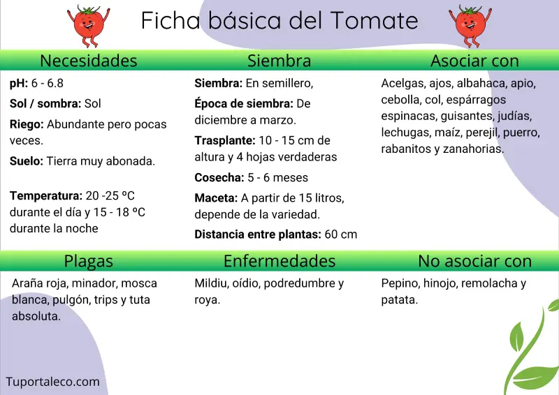 Ficha básica cultivo del tomate wp