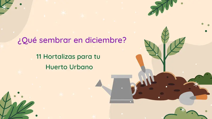 qué-sembrar-en-diciembre-hero