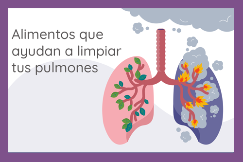 alimentos-que-ayudan-a-limpiar-tus-pulmones-destacada
