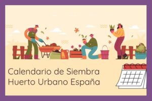calendario-de-siembra-destacada-114