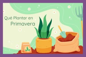que-plantar-en-primavera-destacada