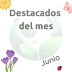 Destacados del mes junio